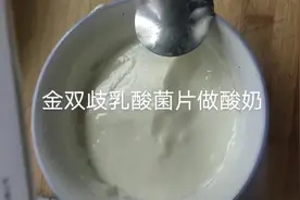 三联乳酸菌片做酸奶，富含双歧杆菌，有益肠道健康#纯天然无添加