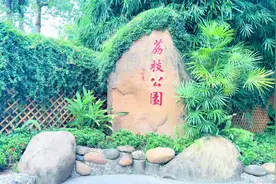 荔枝公园，深圳历史最悠久的公园之一，福田区与罗湖区交界处。视频封面