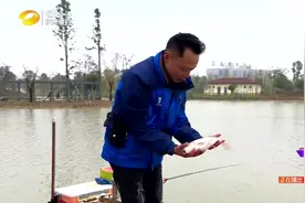 就这样钓鱼：不看不知道，逗钓技巧是如此的强，下次一定要试试