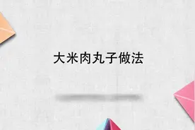 大米肉丸子做法