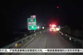 蜜蜂的家着火啦！消防员“含泪”灭火！图片