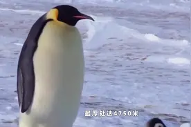 南极冰川或将在一、二百年里融化，海平面上升约60米，地球将泡汤