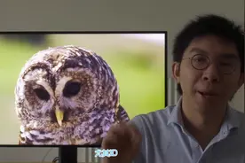 索尼XH90可以做4K120fps，但95无HDMI 2.1视频封面