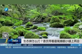 生态优势怎么转化为经济效益？睡眠小镇变最成功例子！