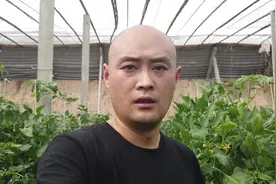 大棚内降温，应该用遮阳网还是降温剂？看完你就有答案了视频封面