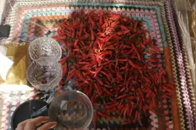 在网上买的小红辣椒很便宜，晒干以后自制辣椒面，看看能成功不