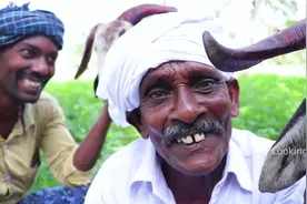 37-【Wagner看世界】第一次见这样处理羊头的，好吃的部位都扔了视频封面