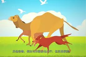 为什么人类长跑能赢过猎豹，狼和马？是演化的力量还是设计？视频封面