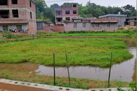 猪肉太贵了，挖个鱼塘养鱼吃，自己动手丰衣足食。视频封面