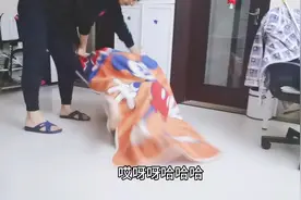 北京生活：爸爸和妈妈带娃的区别，在于你会不会变三岁视频封面