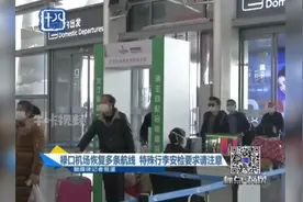 南京：禄口机场恢复多条航线，特殊行李安检要求请注意丨标点0304视频封面