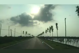 东营网红打卡地｜黄河大坝 一条冷门但景观绝佳的自驾宝藏之路图片