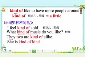 kind of的三种含义，同学们都弄清楚了吗