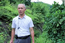 柑橘叶片萎缩、枯萎、提前落叶，可能你的果树正被这种虫害威胁！