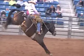 无鞍骑马比赛；野马难驯！但还是有那么多人想要去征服它~