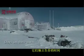 绝境中它们需要的是坚强、忍耐和信念，但唯一牢不可破的是友谊！