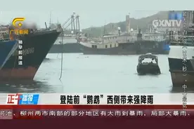 今年第2号台风“鹦鹉”已在广东阳江海陵岛登陆，最大风力9级