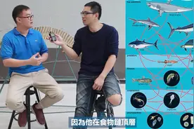 从零开始养—鲨鱼原来还可以饲养