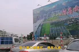 江门有个一岛一村一世界，石板沙渡口车辆超多，自驾游见闻