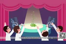 拟南芥-高中生物