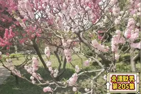 今天是4月28号是特殊的日子，部份学校开学，社区解禁，未来可期