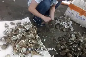 都是烧烤惹的祸，生蚝：假的真不了，真的假不了视频封面