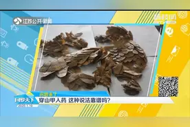 听信穿山甲鳞片入药能治病，男子收集半年私带入境，结果惨了
