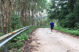松树对治疮疥有很好的效果 已经过实践 一起来看看视频封面