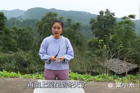 小妹儿给鸡治疗感冒，听老前辈说这些草很管用，直接喂给小鸡吃视频封面
