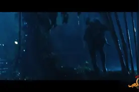 美国雇佣军营救人质干净利落视频封面