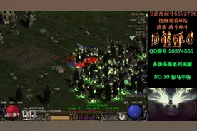 【战斗蜗牛】暗黑2亚马逊攻略之标枪亚马逊刷牛场