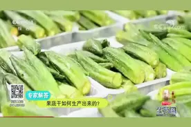 生活圈：果蔬干有营养吗？专家揭秘制作过程，选择、食用都应注意