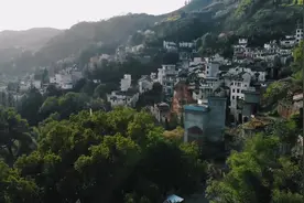 安徽黄山的无人村，曾是贡菊原产地，如今很少有人听过