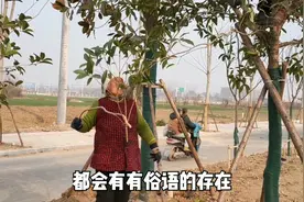 农村俗语：“男子难得三更子，女子难得正午时”，背后是啥含意？视频封面