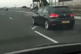 高速路上，一只鸽子以100公里时速与汽车互飙，这鸽子是怎么了？