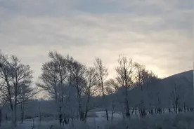 从张家口坝下走高速上坝，沿路冬天的风景真美，看桦皮岭山的雪景视频封面