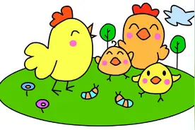 小鸡一家四口幸福家庭在农场嬉戏简笔画儿童学画卡通动物美术课堂视频封面