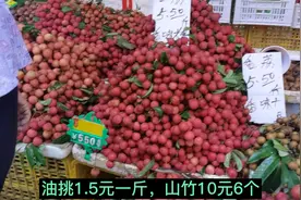 广东云浮新兴，夏至习俗吃荔枝狗肉，看看这里的荔枝几钱斤？视频封面