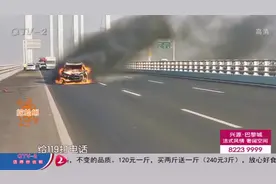 惊险！轿车追尾没熄火，车子自燃烧成壳，青岛胶州湾大桥临时封闭视频封面