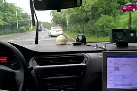 琼海科目三考试教学