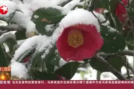 长三角多地昨日降雪：安徽13个市县出现降雪，九华山积雪达2厘米视频封面