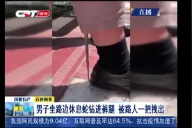 男子坐路边休息蛇钻进裤腿，被路人一把拽出视频封面