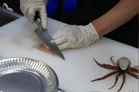 北海道水产市场，活鱿鱼现点现杀，触须蘸了酱油还在动，新鲜无敌