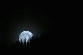 小提琴轻音乐《思亲曲》，让人忍不住泪流的音乐