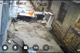 有监控真好，远隔千里也可以看见家里，夜视看兔子都特别清晰视频封面