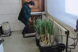 东北零下23度，地窖里供暖你见过吗？窖高2米，面积足有15平方视频封面