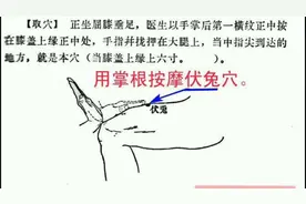 胃反酸反反复复很难受，腿上有个伏兔穴，每天敲打即可，不妨试试