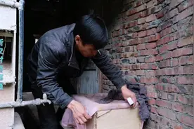 介王台的工产群，这样解决严重盗蜂，蜂王能交尾成功吗？