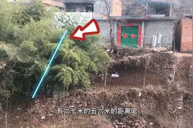 农村邻居家竹子疯长，蔓延到我们家门前的小菜园了，怎么阻止呢？