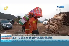 四川木里森林火灾原因已查明，竟是11岁男孩点燃松针烟熏松鼠导致视频封面